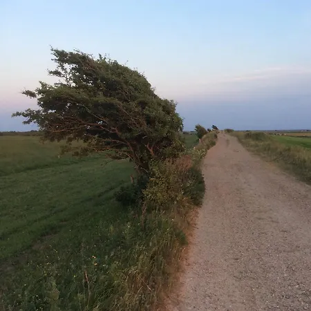 Vadehavet * Skærbæk